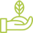 سیستم کشت