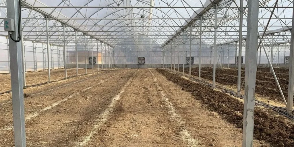 احداث گلخانه در روستا