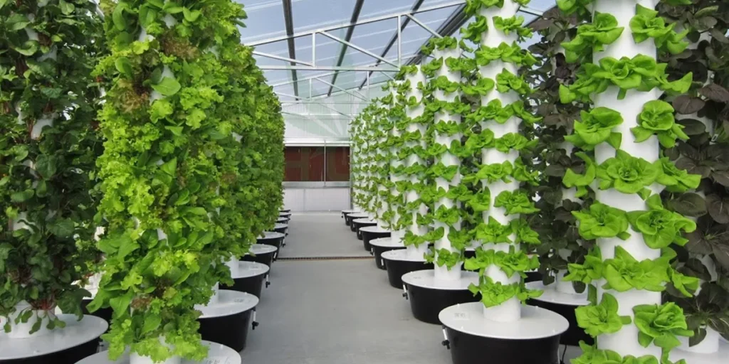 کشت عمودی یا کشاورزی طبقاتی