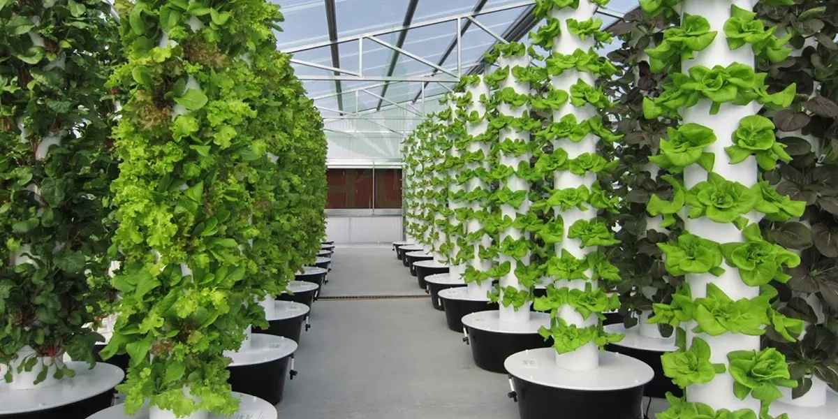 کشت عمودی یا کشاورزی طبقاتی