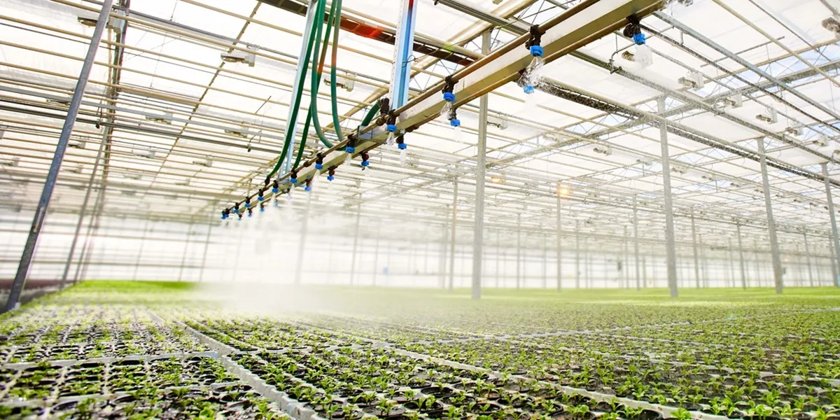 آبیاری و تغذیه اتوماتیک گلخانه