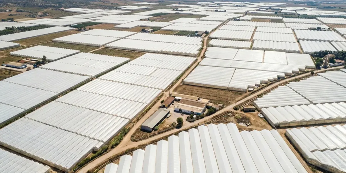 گلخانه گاتیک اسپانیایی