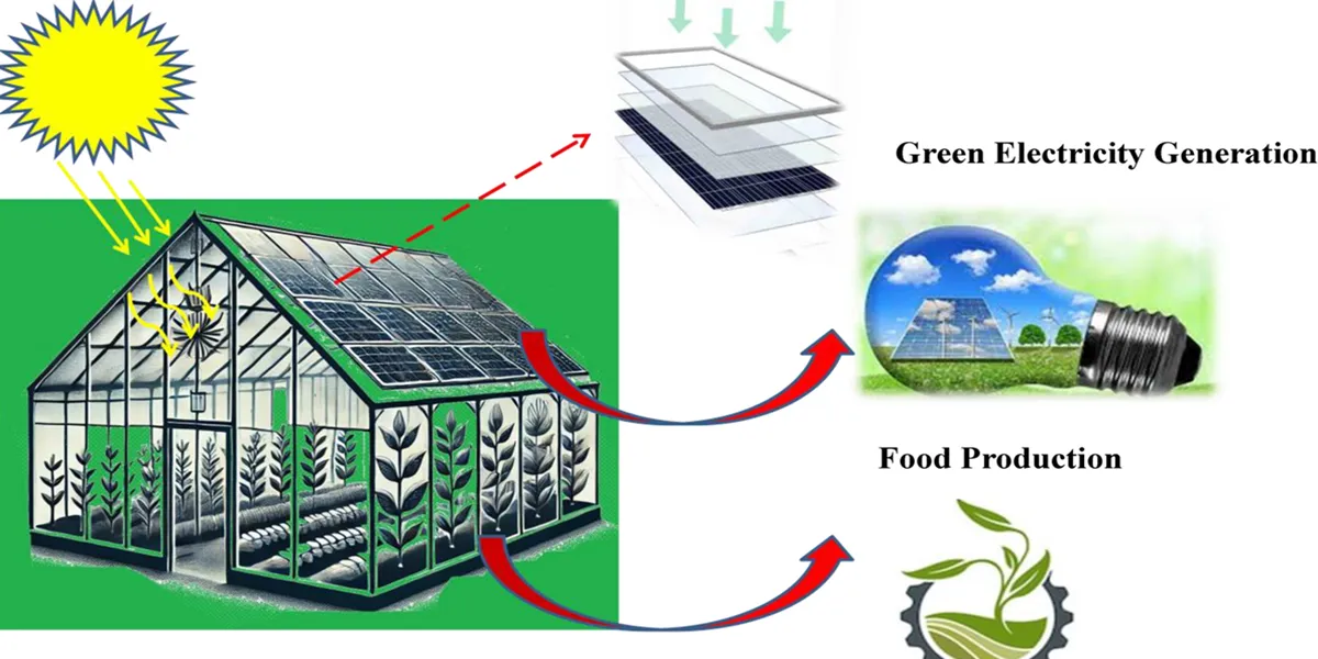 انتخاب ابعاد گلخانه بر اساس نوع محصول