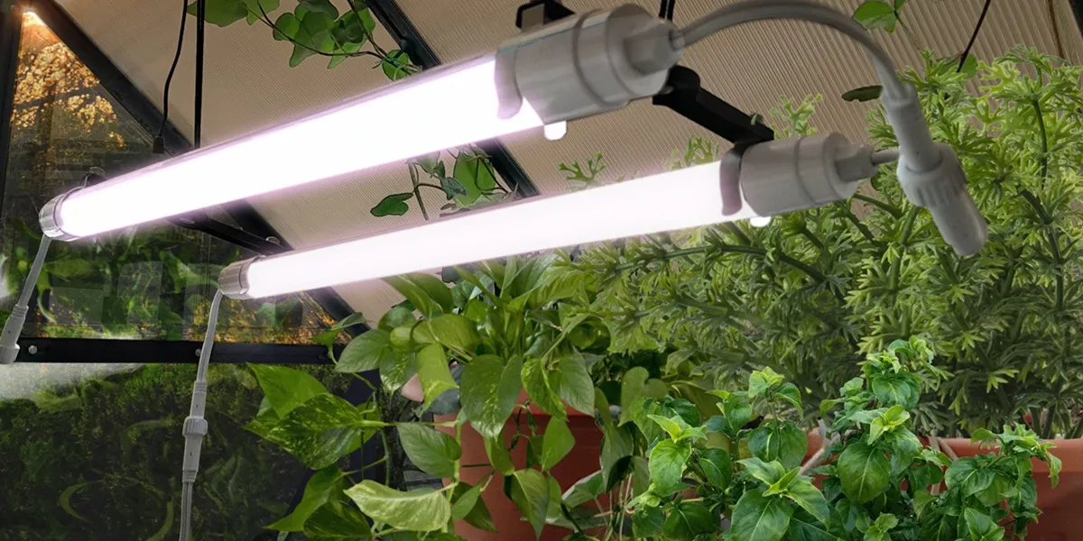 لامپ رشد گیاه