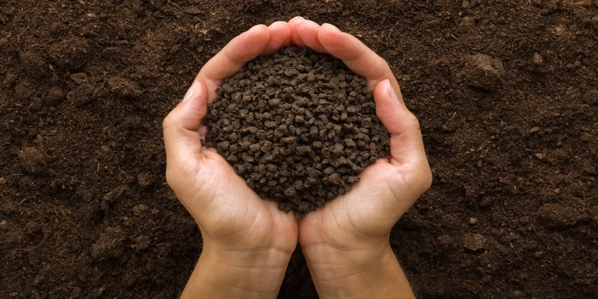 کود ارگانیک