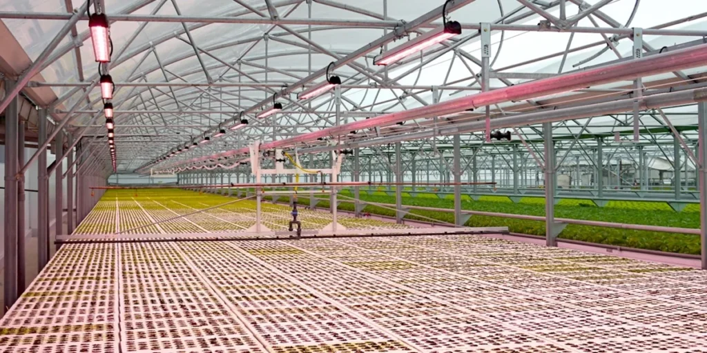 تزریق co2 گلخانه