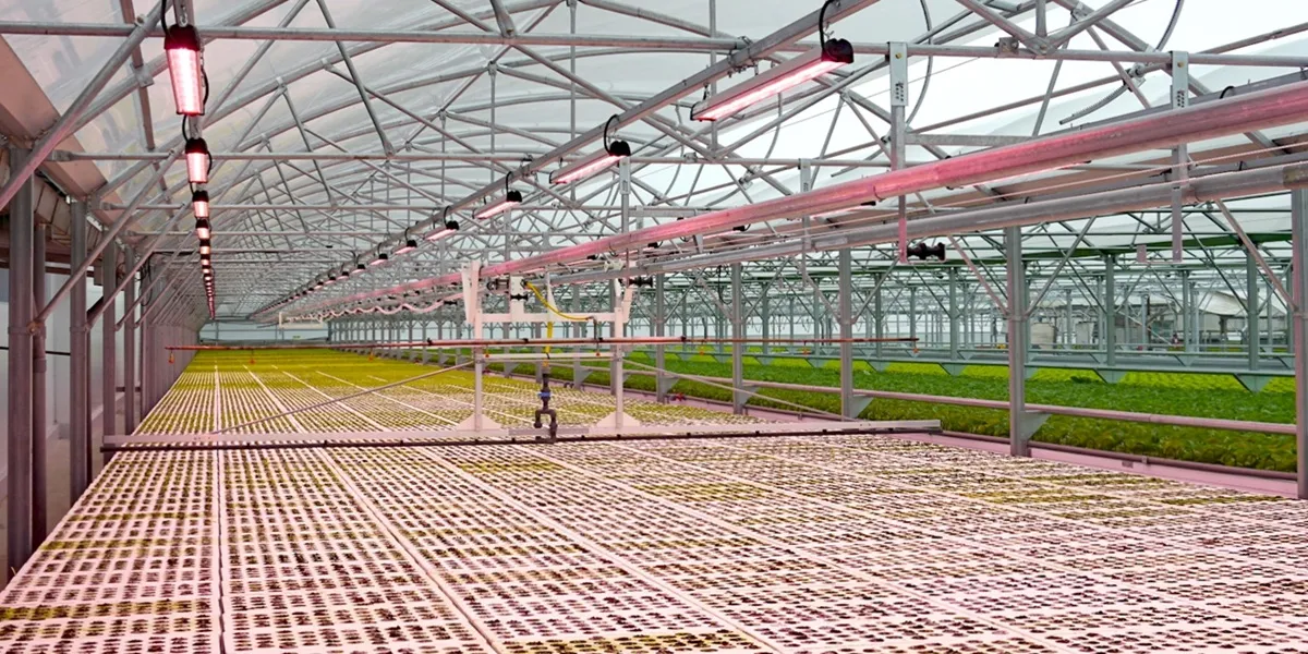 تزریق co2 گلخانه