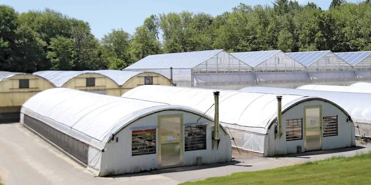 مقایسه گلخانه تونلی، قوسی، اسپانیایی و ونلو