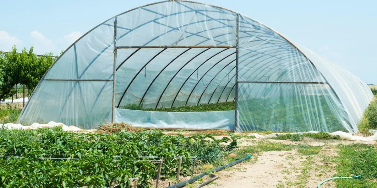 سازه گلخانه ای سبک یا سنگین