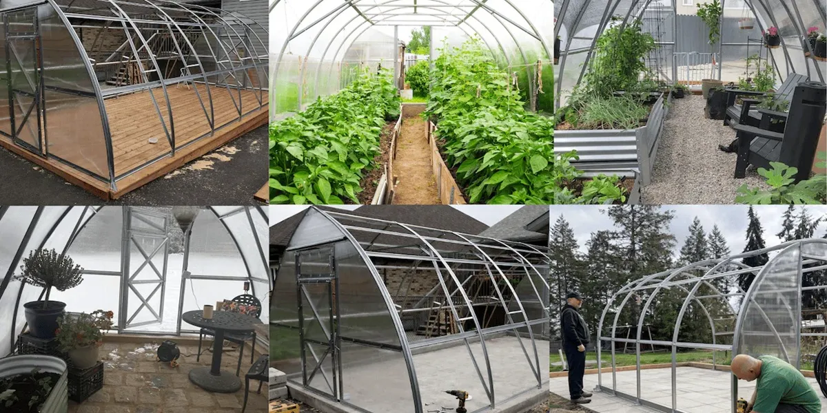 انواع گلخانه از لحاظ استراکچر