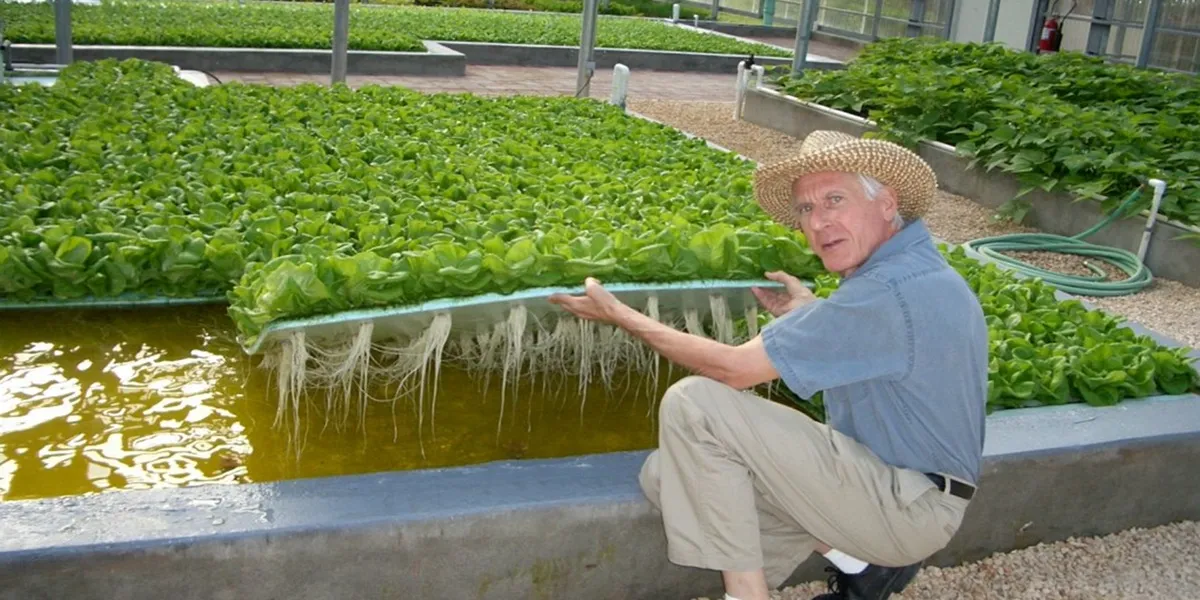 انواع روش کشت هیدروپونیک