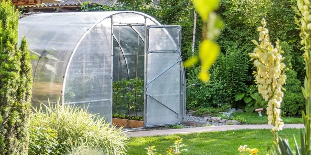 انتخاب ابعاد گلخانه بر اساس نوع محصول