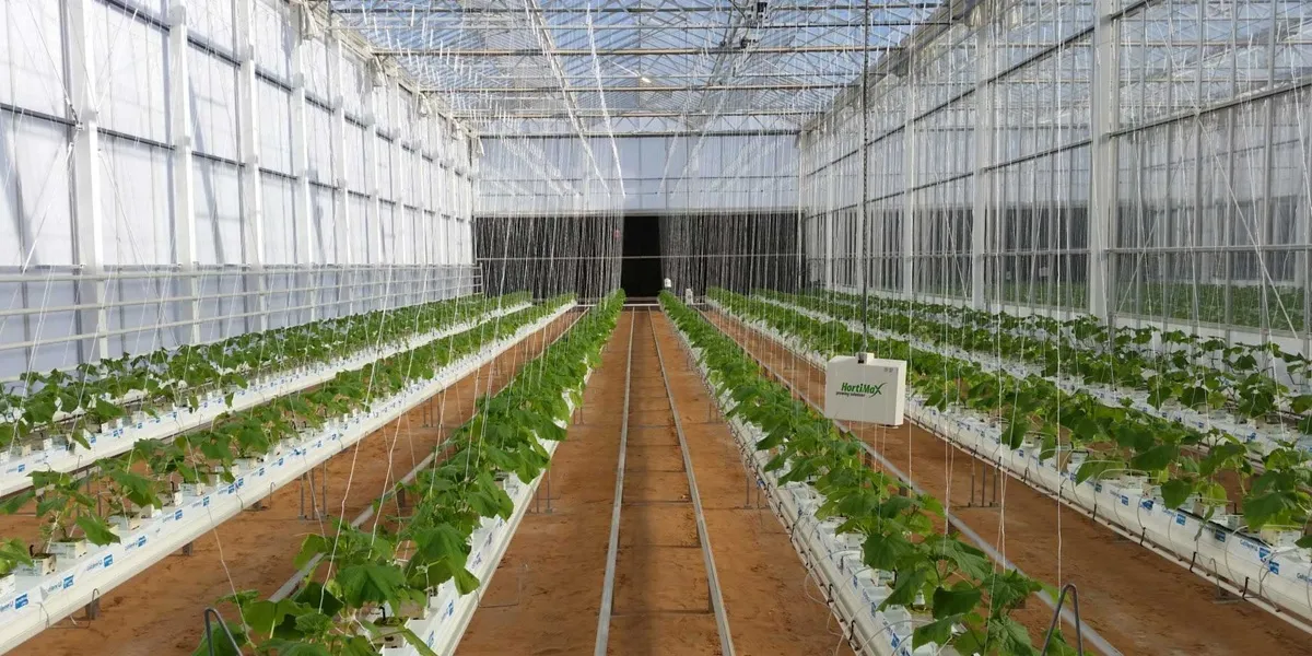 گلخانه های ایرانی تیپ C