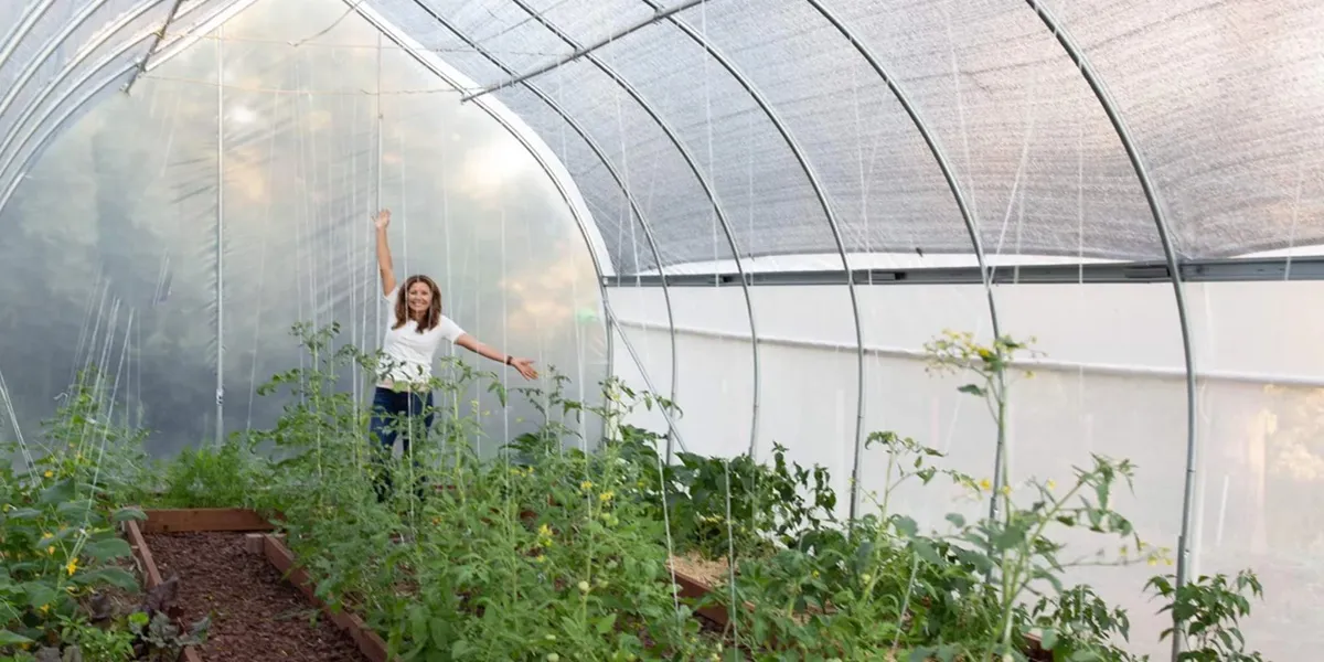 پرده ذخیره انرژی و توری سایبان گلخانه