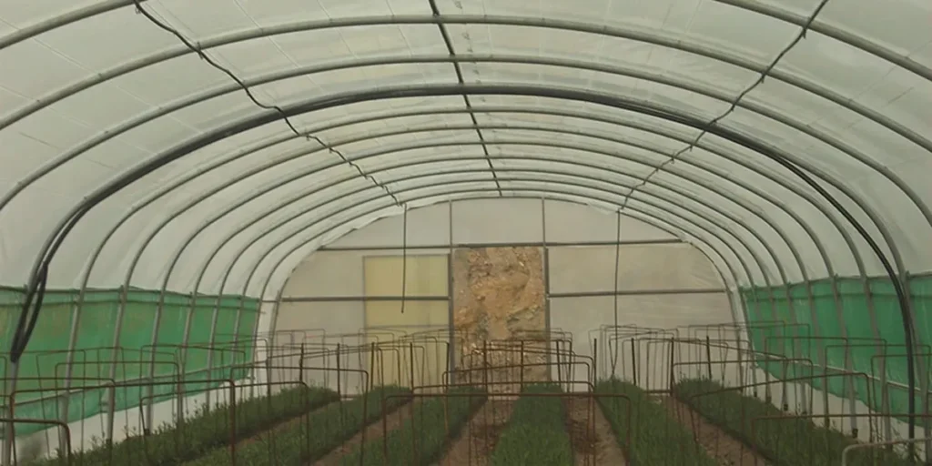 اخد پروانه تاسیس و بهره برداری گلخانه