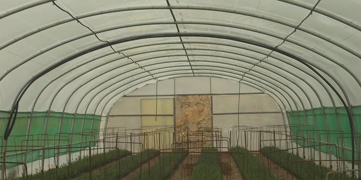 اخد پروانه تاسیس و بهره برداری گلخانه