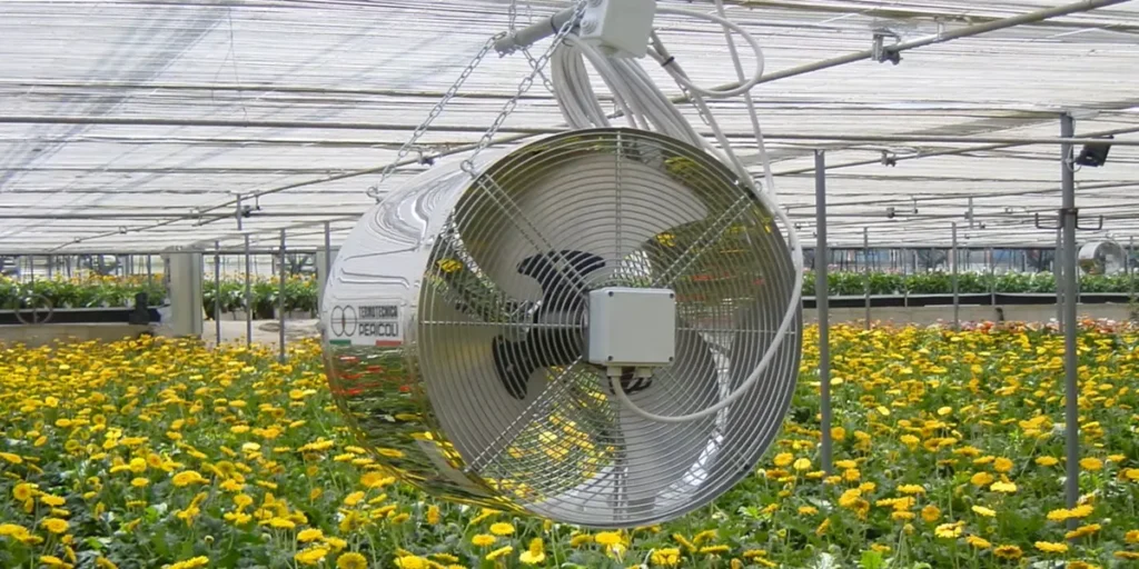 فن سیرکوله گلخانه