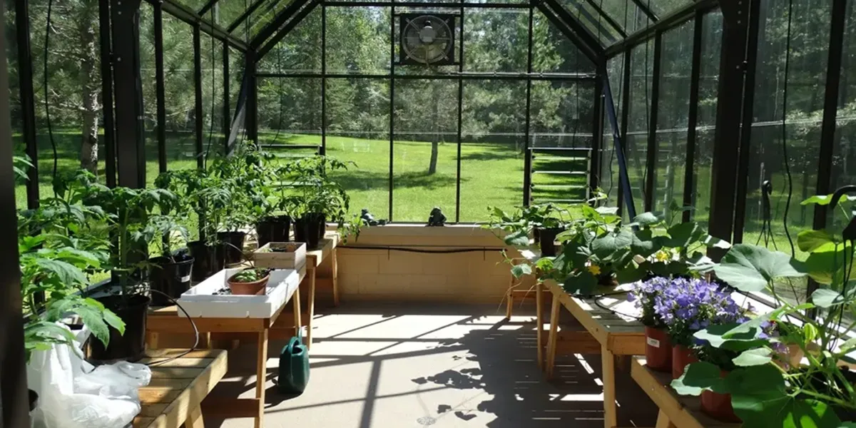 سفارش ساخت گلخانه