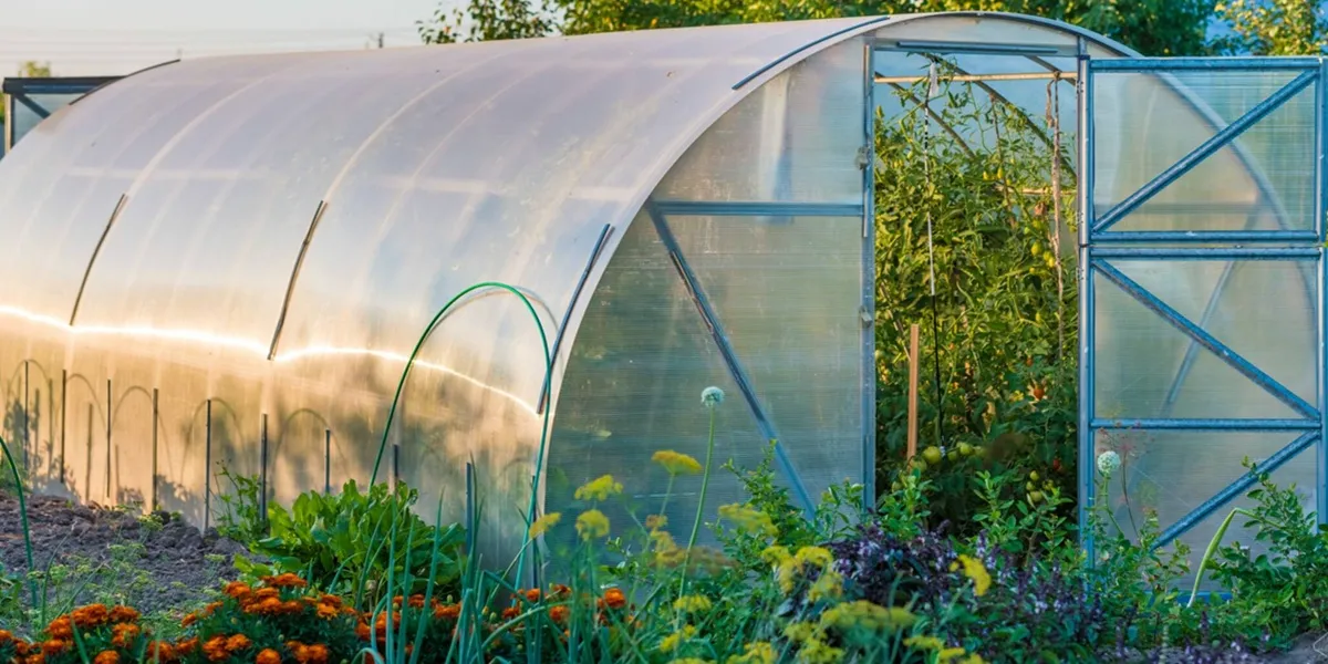 انواع گلخانه از لحاظ کاربری