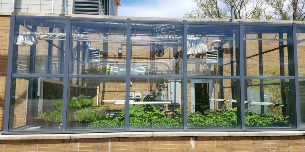 تاسیسات و تجهیزات گلخانه