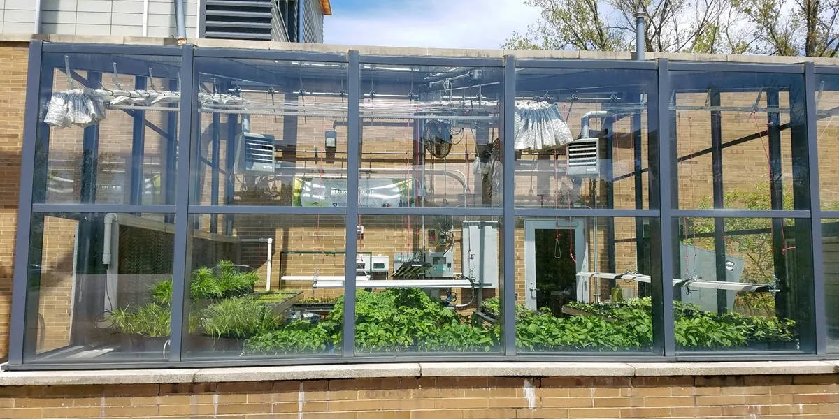 تاسیسات و تجهیزات گلخانه