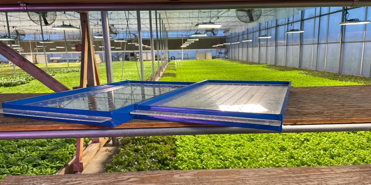 سیدر(بذرکار سینی نشاء)