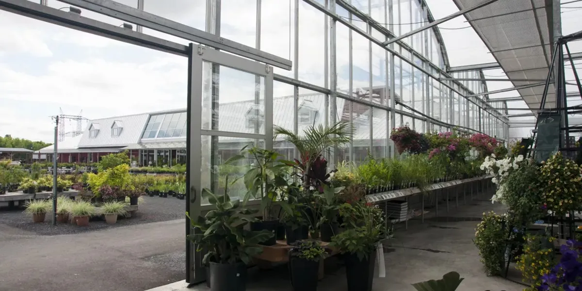 گلخانه صنعتی یا نیمه صنعتی؟