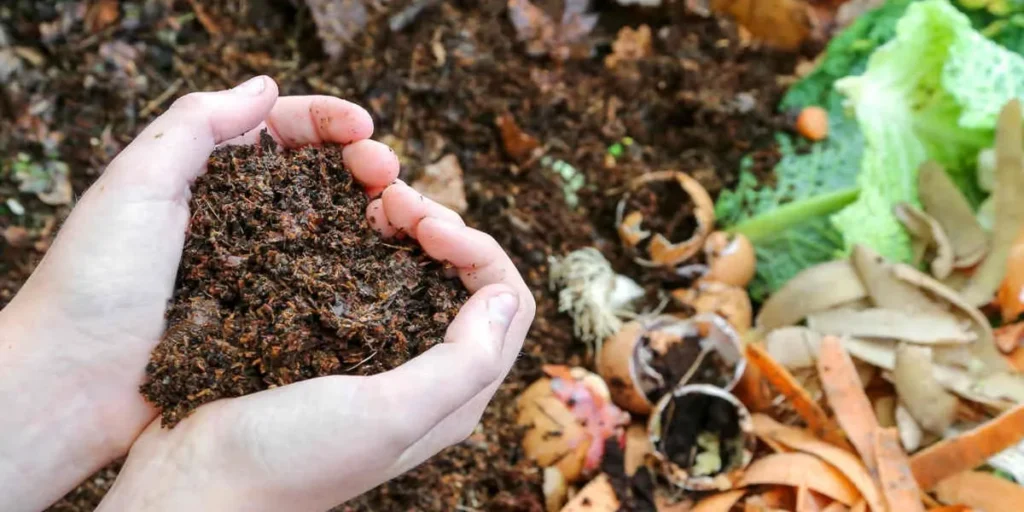 کود ارگانیک