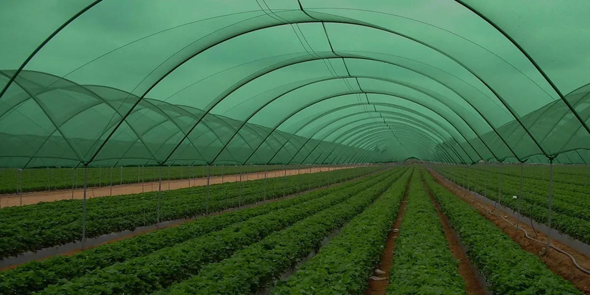 پرده ذخیره انرژی و توری سایبان گلخانه