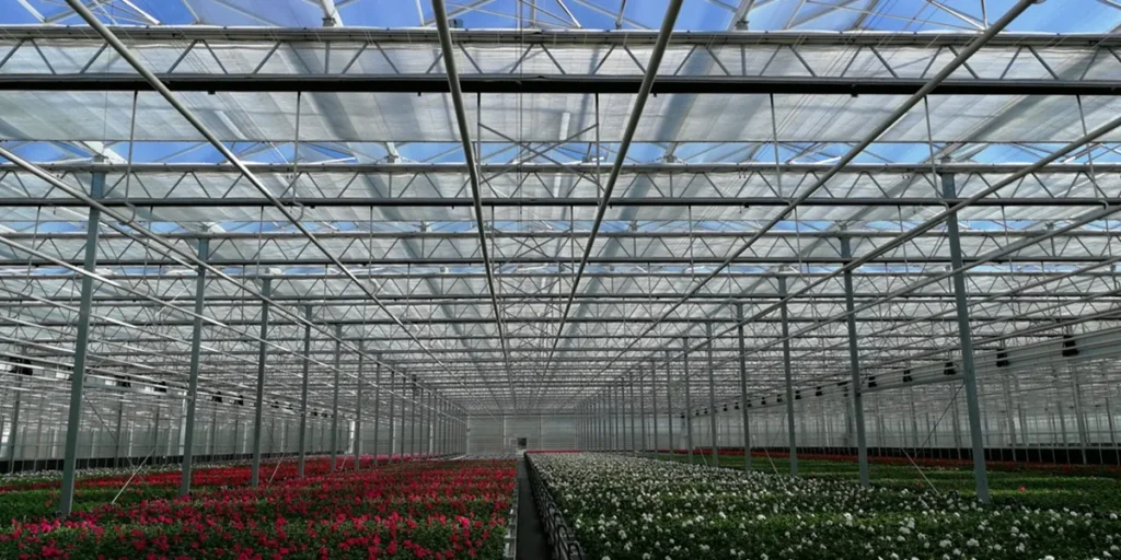 ستون گلخانه