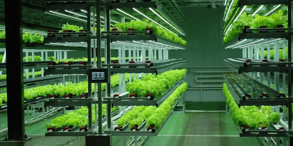 کشت ایروپونیک