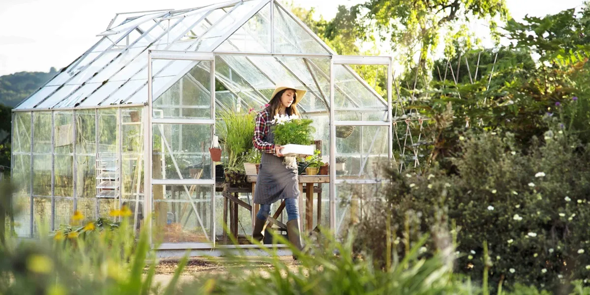 انواع گلخانه از لحاظ استراکچر