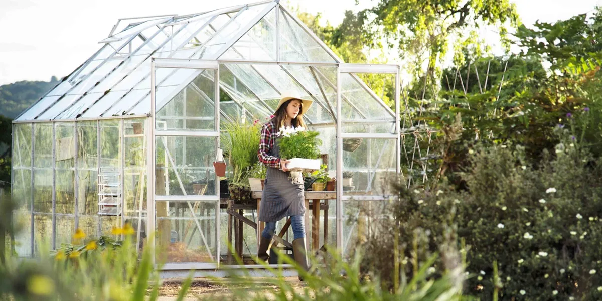 پوشش گلخانه برای مناطق گرم و معتدل