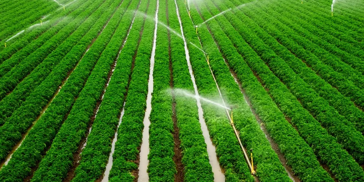 اجزای سیستم آبیاری و کوددهی