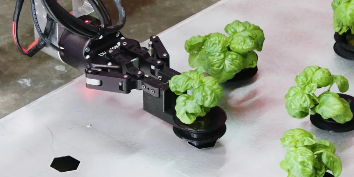 ربات پیوند زن نشا