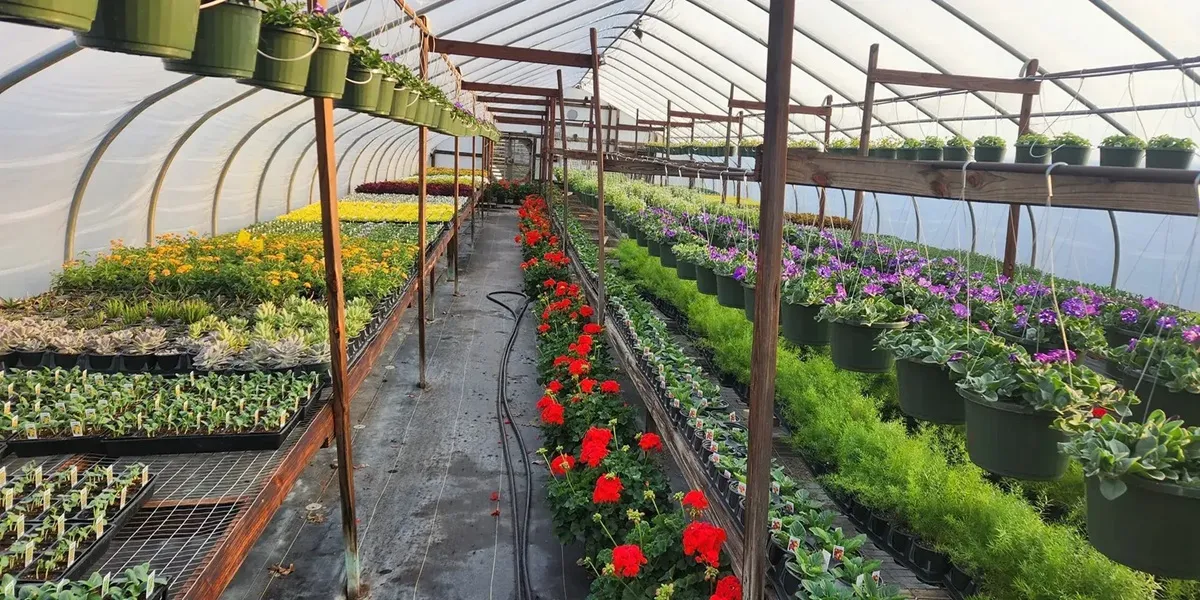 مواد ساخت گلخانه