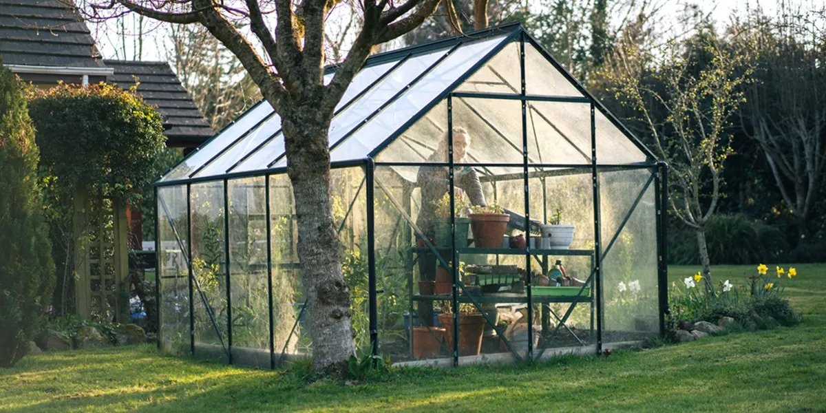 ابعاد استاندارد گلخانه