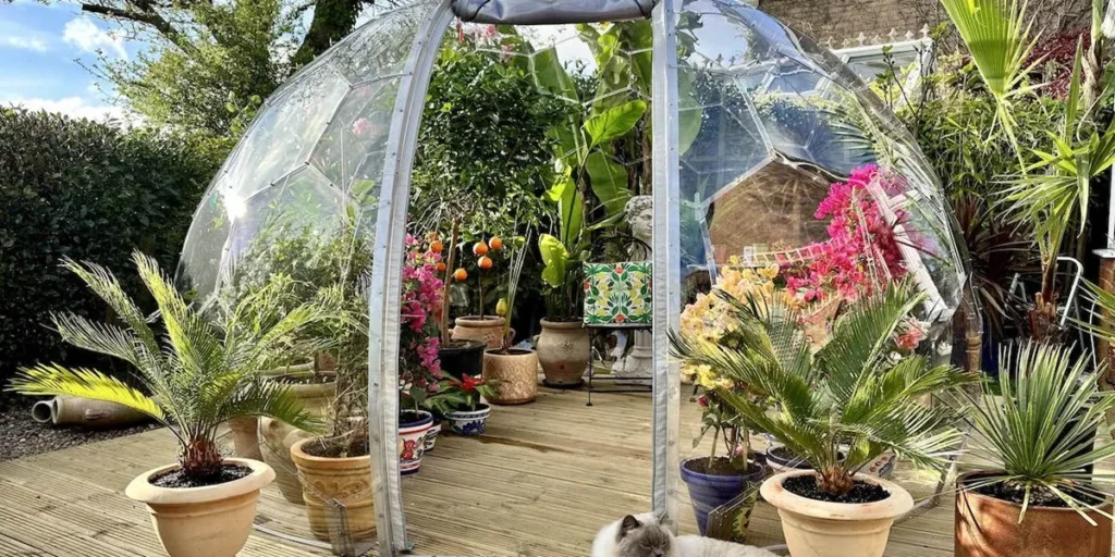 پوشش گلخانه برای مناطق گرم و معتدل