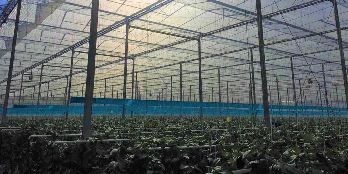 پرده ذخیره انرژی و توری سایبان گلخانه