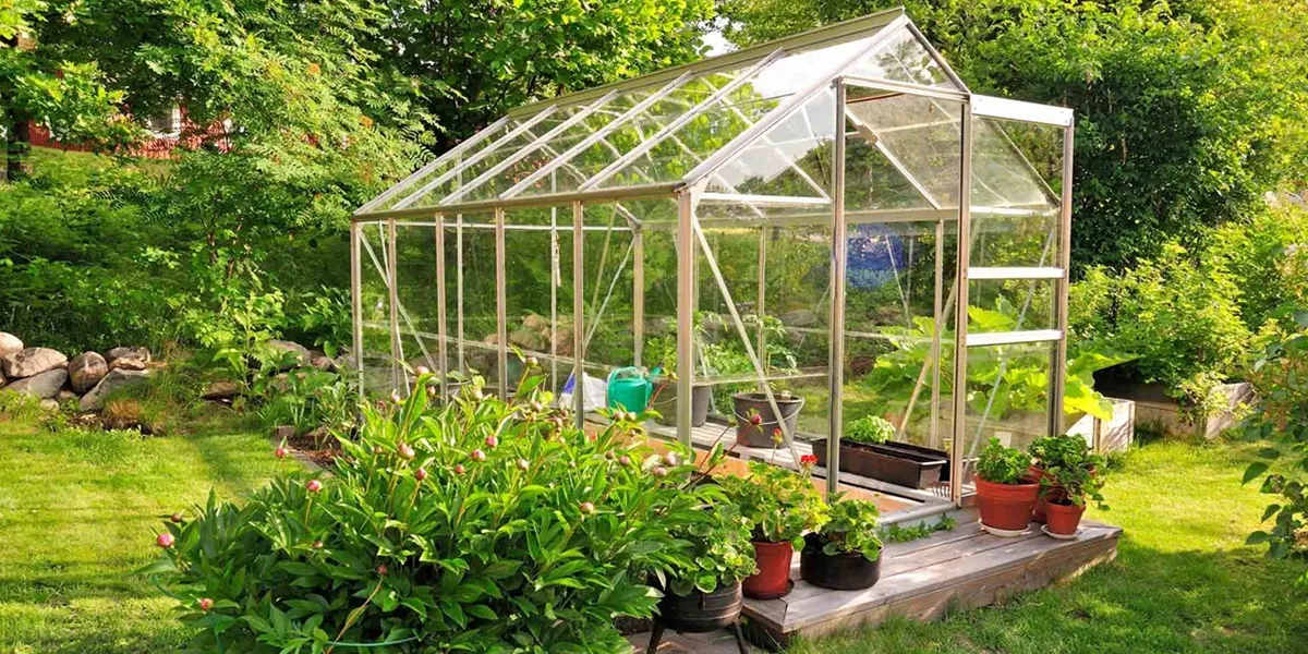 هزینه ساخت گلخانه