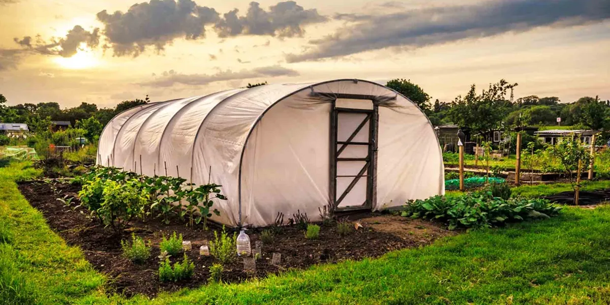 هزینه ساخت گلخانه