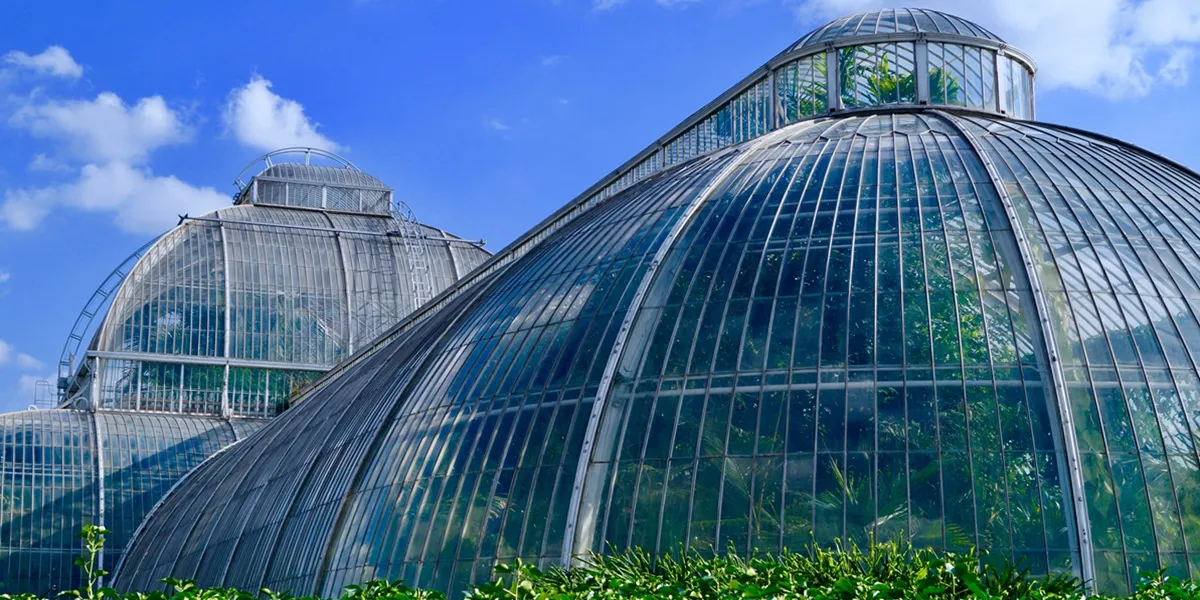 تزریق co2 گلخانه