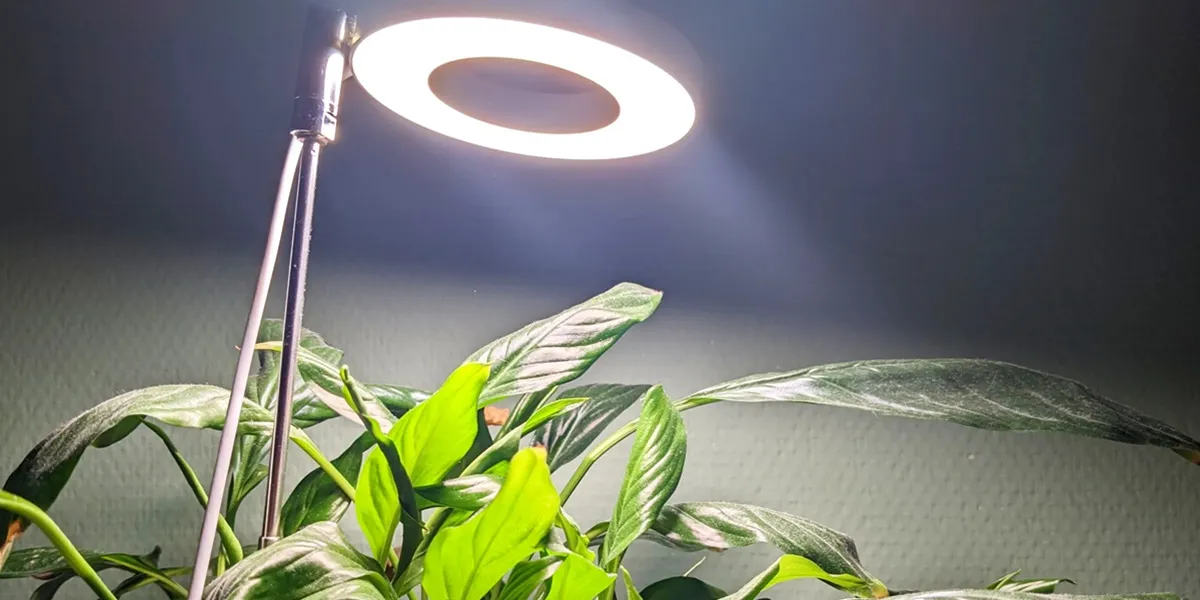 لامپ رشد گیاه