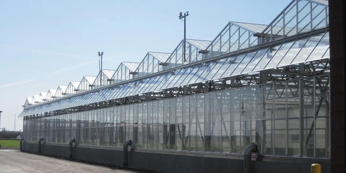 مقایسه گلخانه تونلی، قوسی، اسپانیایی و ونلو