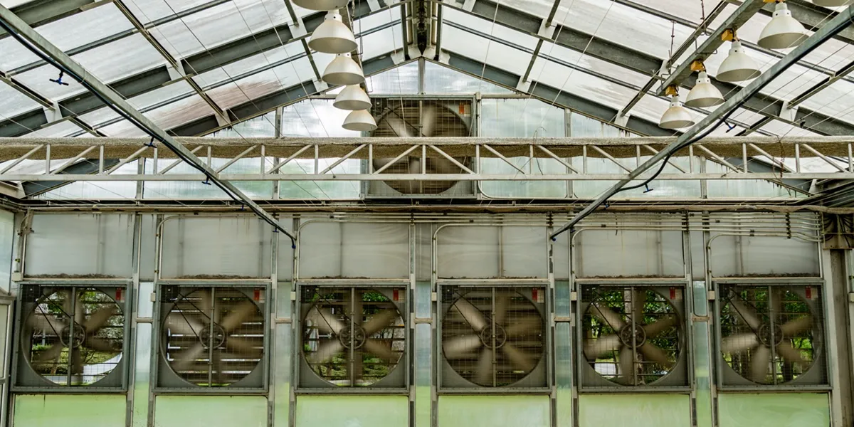سیستم های خنک کننده و تهویه گلخانه
