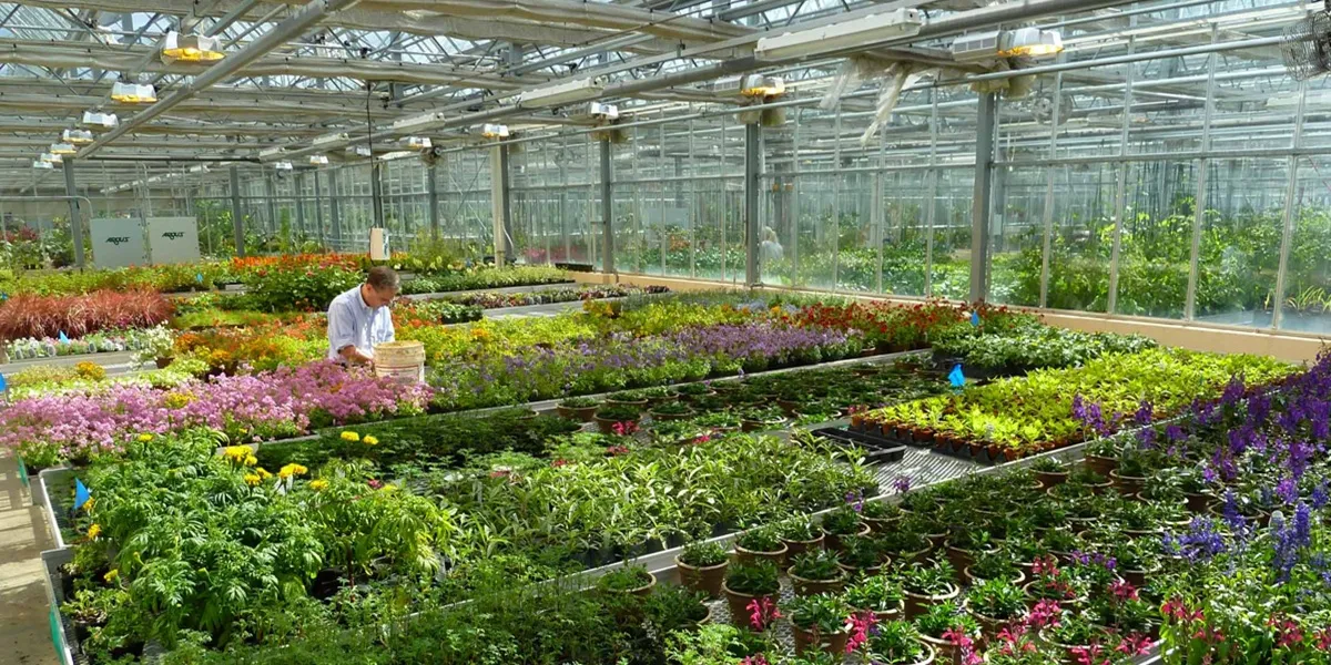 محاسبه مساحت گلخانه