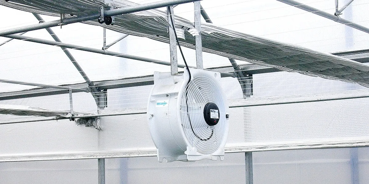 فن سیرکوله گلخانه