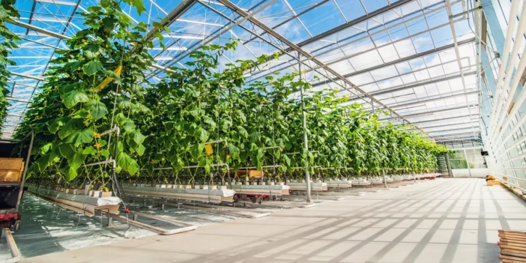 برق و اتوماسیون گلخانه