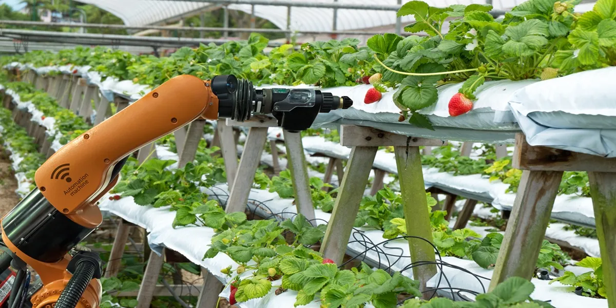 ربات پیوند زن نشا