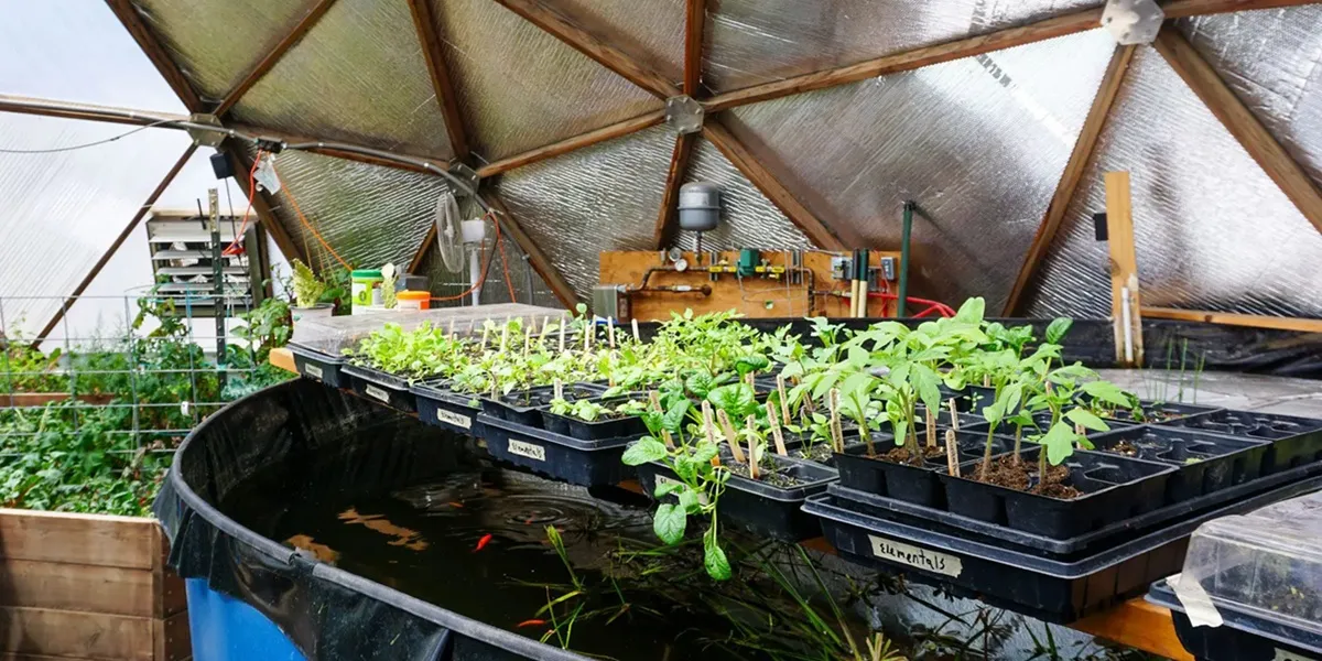 گلخانههای ارتفاع بلند